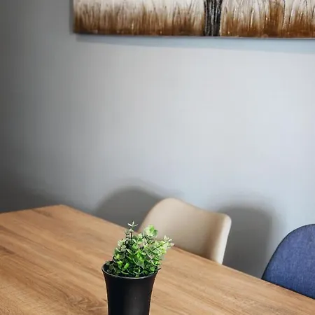 Cozy 2ba In Historic Center Apartment *
